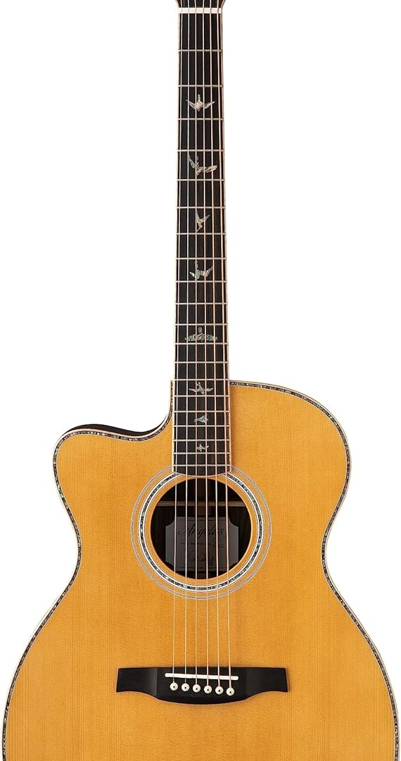 left handed acoustic guitar