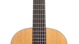 left handed acoustic guitar