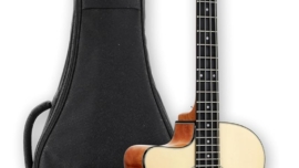 left handed bass guitar