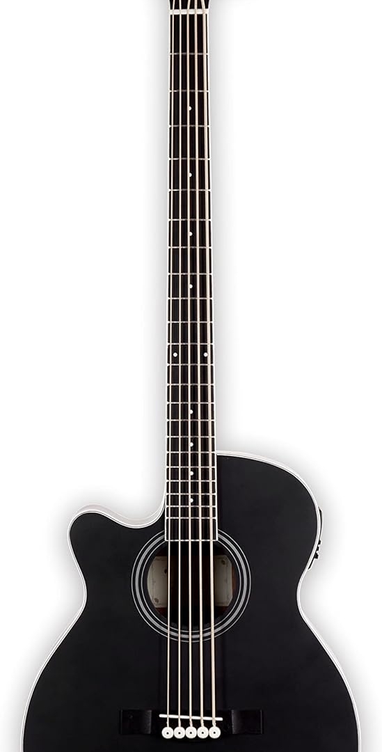 left handed bass guitar